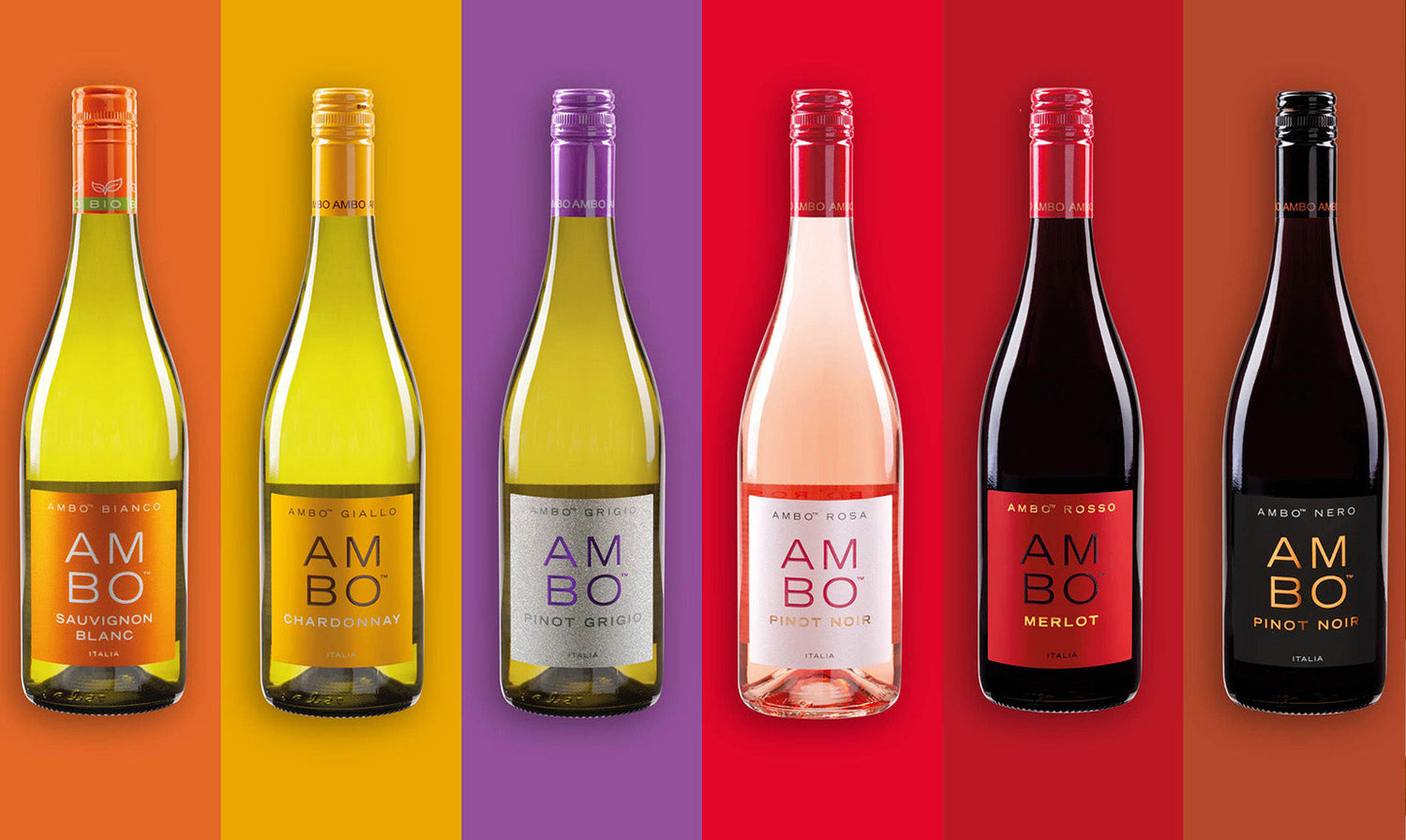 AMBO: A young, fresh and colorful line